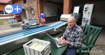 Mindestlohn, Bürokratie und Wetterkapriolen machen Niedersachsens Spargelbauern Sorgen