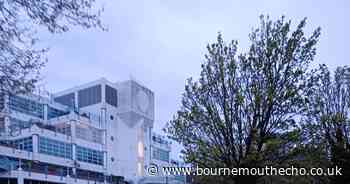 Horses left tied up beside busy Bournemouth roundabout