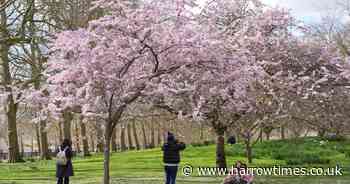 Met Office forecasts sunny spells in London for most of Easter Sunday