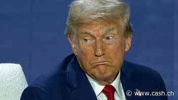 Neue landesweite Proteste gegen Trump