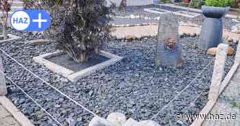 Doch noch Schottergartenkontrollen in Hannover? „Wir müssen priorisieren“