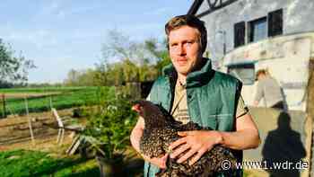 Wachtendonk: Diese Hühnerrassen legen bunte Eier