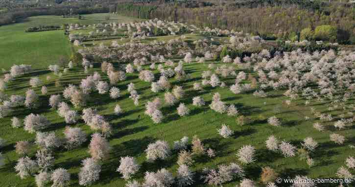 Sonne, Wolken und Schauer wechseln sich Ostermontag ab