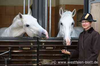 Paderbornerin lässt die Lipizzanerhengste tanzen