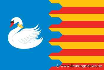 In Limburg: Nieuwe vlag en wapenschild voor Tongeren Borgloon