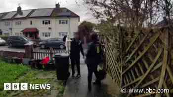 EE worker is seen carrying cat by scruff of neck