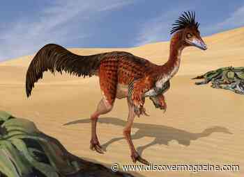Theropod Dinosaurs Could Have Had Hollow Bones Like Modern Day Birds