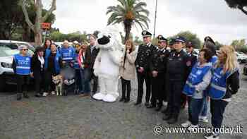 Dodici nuovi mezzi per la squadra Salvanimali Amici Cucciolotti