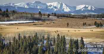 April snowfall warning issued for parts of southern and central Alberta