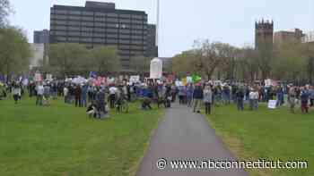 Protesters gather on New Haven Green to advocate against Project 2025