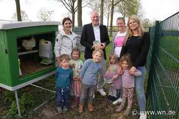 Fünf Hennen für die Kita: Neuer Hühnerstall begeistert Kinder