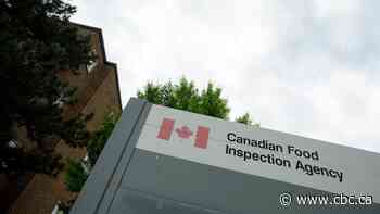 Manitobans warned to watch for frozen pastries recall over salmonella concerns