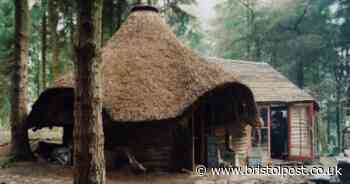 The magical hidden off-grid community living in West Country woodland