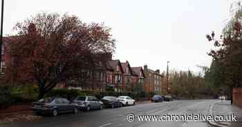 Suburb rated one of Newcastle's 'best neighbourhoods' with tree lined streets and beautiful park