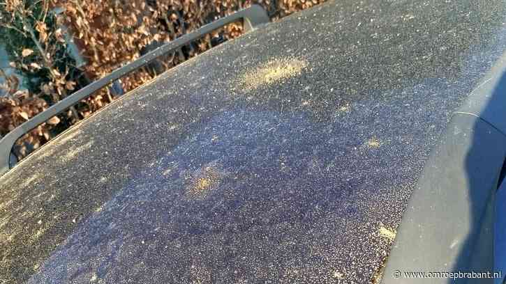 ‘Ballonvaarder in de stress’ zorgde voor ‘storm van zand’