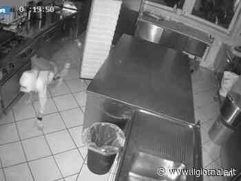 Preso il "ladro gattonatore", numerosi furti in negozi e ristoranti di Verona