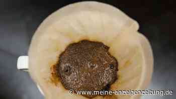 Kaffeefilter im Biomüll entsorgen? Hier gehören sie hin 