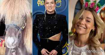 Britt neemt minipaard in huis, Bibi en Waylon delen familiekiekje en Froukje zet paasoren op