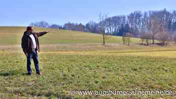 Historiker schildert: So blutig verlief der Bauernkrieg in Leipheim
