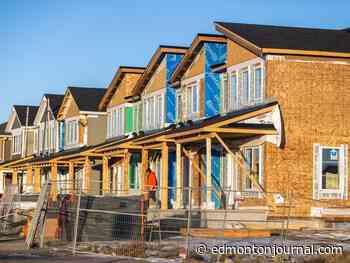 Is Trump overshadowing housing this federal election? Edmonton advocates weigh in