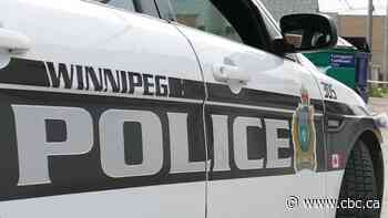 2 Winnipeggers seriously injured in Daniel McIntyre machete attack