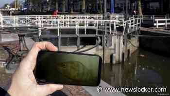 Goed nieuws deze week: Groen licht voor alzheimermedicijn in EU