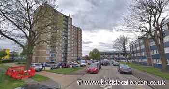 Woman, 45, dies after stabbing at home in Enfield