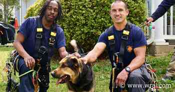 Easter rescue: Raleigh firefighters rescue dog from stormdrain