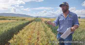 Cropping bible has new releases, disease control techniques and more