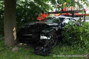 Bestuurder crasht tegen boom in de Heimolenstraat