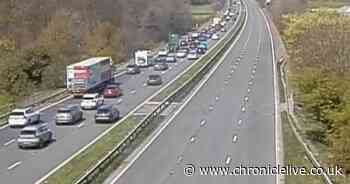 14-year-old boy dies in tragic tree crash off M6 as police appeal for witnesses