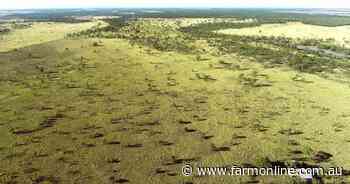 Eumerella: Last floodplain property with farming potential hits the market