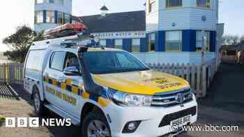 Flare 'emergency' was part of gender reveal party