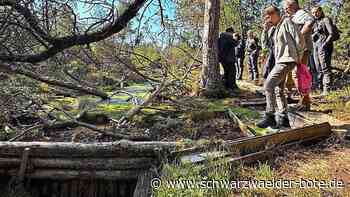 Moor soll gerettet werden: Hochmoor Kaltenbronn – ein Ökosystem in Not