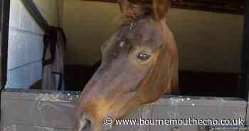 Police issue warning after trailer worth £4.5k stolen from field