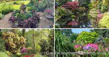 9 secret gardens near the BCP area open to the public this spring