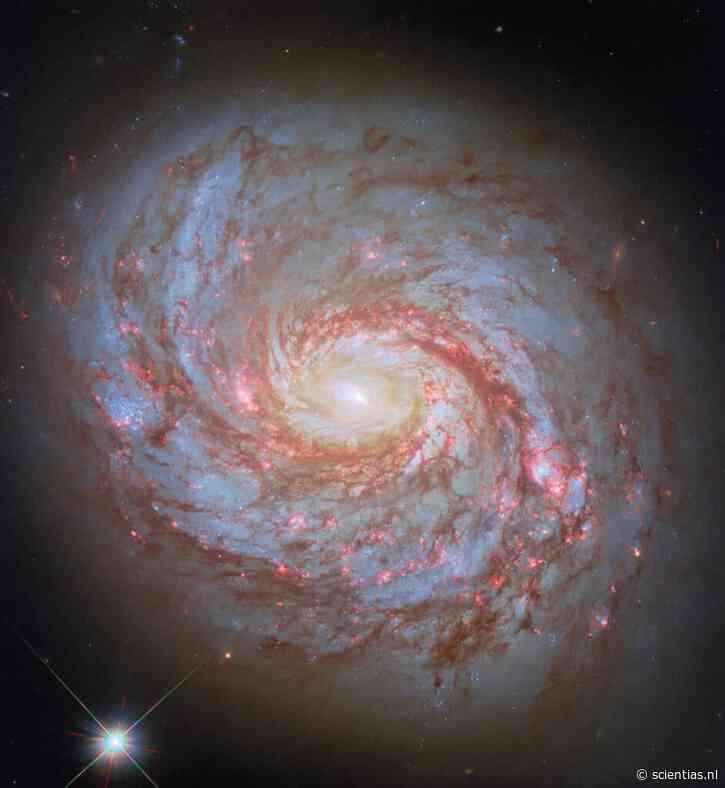 Het inktvisstelsel onthuld: Messier 77 in alle glorie