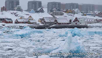 Tech-Milliardäre planen libertäre Parallelstadt – und haben Grönland im Visier