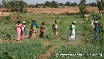 Senegal gooit uienimport voor rest van jaar op slot