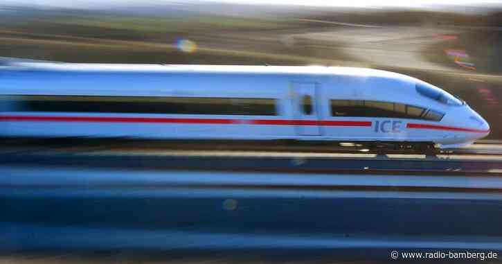 Außer Rand und Band: Nagetiere laufen in ICE frei herum