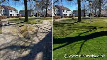 Berlaar bouwt aan duurzame toekomst met Lokaal Energie- en Klimaatpact (LEKP): “1 meter fietspad per inwoner”