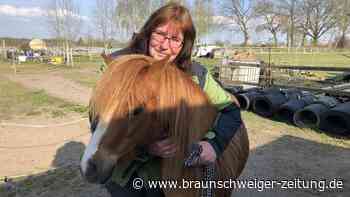 Peiner Krankenschwester auf Friedensmission: Mit Ponys nach Jerusalem