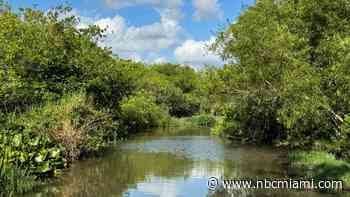 Everglades restoration would protect Florida Keys while scientists watch drought conditions