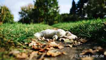 Kriminalpsychologe über Hilfe für Kinder nach Entführung