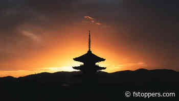 Simple Tips to Immediately Improve Your Photos