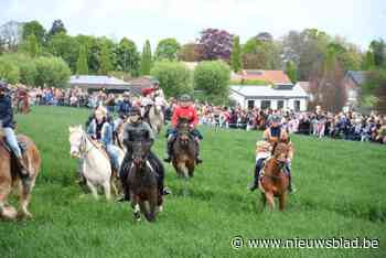 Paardenprocessie lokt meer kijklustigen én paarden dan vorig jaar: “Dit moeten we koesteren”