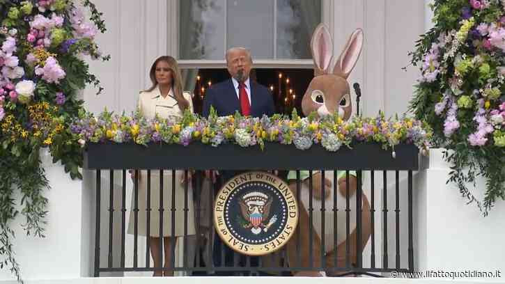 Trump ricorda Papa Francesco con una persona travestita da coniglio accanto: scoppiano le polemiche – Video