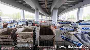 A7: Bauarbeiten vor dem Elbtunnel machen Sperrungen erforderlich