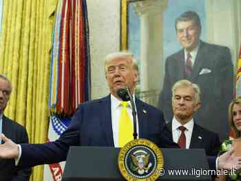 Trump: "Avremo un accordo con l'Ue sui dazi". Ma Wall Street sprofonda | La diretta