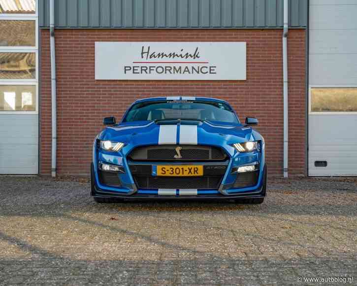 Op deze Shelby GT500 is de pijnlijke BPM al betaald